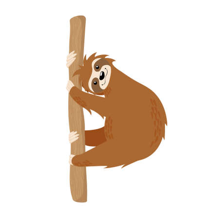 Cute sloth on tree branch hand drawn vector illustration isolated on white background. Scandinavian cartoons art with little lazy sloth.のイラスト素材