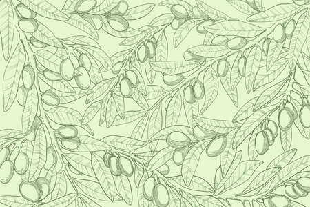 Horizontal vector hand drawn background with olive branch, berry and leaves in engraved style. Sketch illustration with green olives twig on pastels green background. Best for web or print designのイラスト素材
