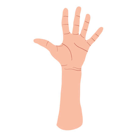 Hand showing five fingers, high five sign. Communication gestures concept. Vector flat design in cartoon style. Isolated on white background.のイラスト素材
