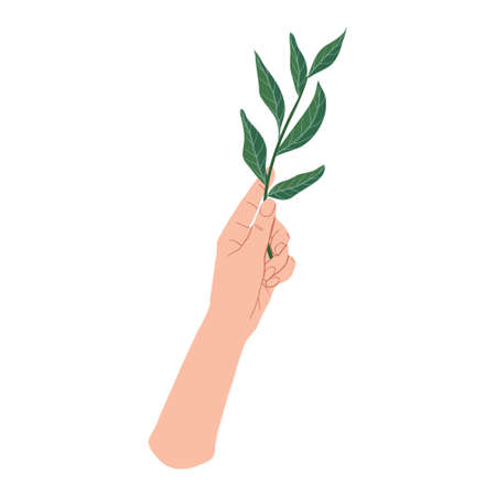 Hand holding a green branch plant. Sprout in Palm. Vector flat design in cartoon style. Isolated on white background.のイラスト素材