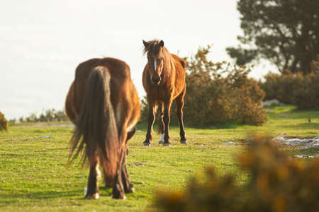Retro old fashioned instant camera on a white glass backgroundの写真素材