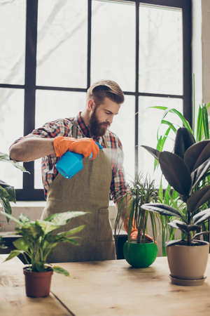 Vertical portrait of gardener in apron using spray for cleaning plantsの写真素材