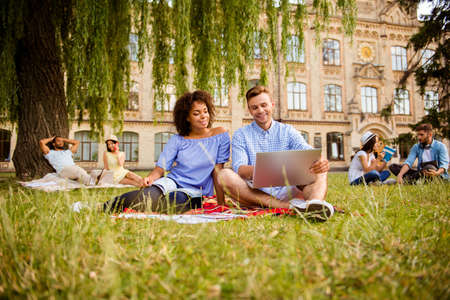 Couples of international students are studying after lectures, sitting in the park, chatting, smile,...