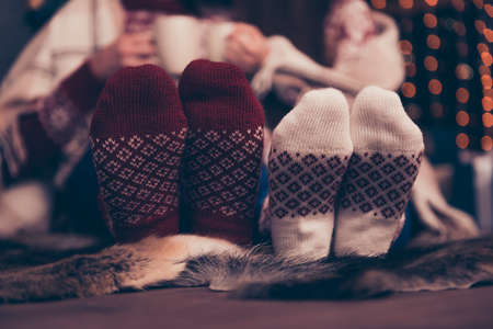 Close up low angle of focus on two pair of feet of festive partners, so romantic, sitting down on floor on animal fur carpet, winter feast at coziness, in socks, unity, togethernessの写真素材