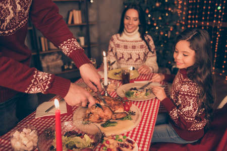 Chef`s arms serving roasted stuffed small turkey and fresh yummy vegetables, on round wooden board, checkered tablecloth, ready to meet x mas, noel and celebrateの写真素材