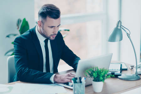 Portrait of attractive concentrated confident elegant lawyer searching information on laptop,...