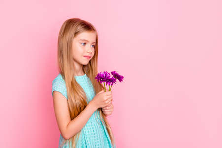 Concept of innocence purity loveliness beauty and tenderness. Cute beautiful clothed in light blue dress with long blonde hair girl is holding a bouquet of purple flowers, isolated on pink backgroundの写真素材