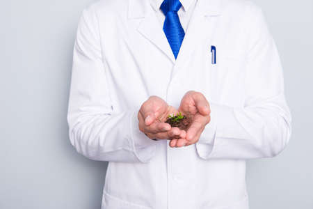 Cropped portrait of handsome biologist in white outfit with tie, showing having  vial with field and small plant, going to make analysis for pesticides and gmo, isolated on grey backgroundの写真素材