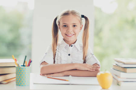 Back to school concept. Close up photo portrait of pretty sweet clever lovely dreamy stylish cute with toothy beaming smile pigtails blonde hair sitting at desk looking at cameraの写真素材