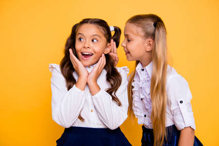 Close up portrait of small blonde girl isolated on vivid yellow background bent to tell the interesting news or secret of brunette friend with wow faceの素材 [FY310107152017]