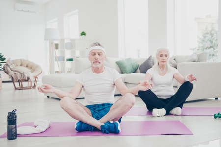 Two adorable healthy charming nice stylish focused concentratedの写真素材