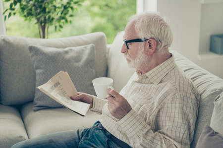 Prifile side view portrait of nice focused stylish old man sitti