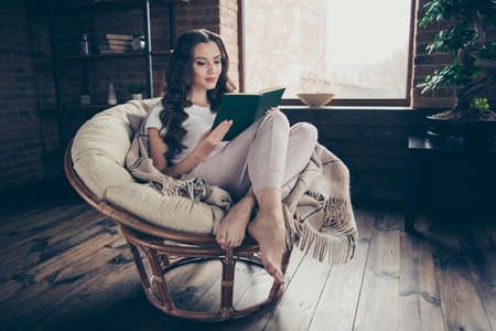 Close up photo beautiful brunette she her lady living room relaxing covered blanket read favorite adventure plot part chapter wearing domestic home apparel clothes outfit sit comfy arm-chairの写真素材
