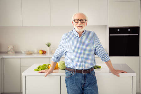 Close up portrait grey haired he his him grandpa proud kitchen lean cooking table ready show master class wear specs casual checkered plaid shirt jeans denim outfit stand light flat roomの写真素材