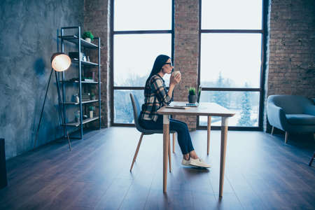Profile side view of her she nice adorable attractive hard-working ceo boss chief brunette lady in...