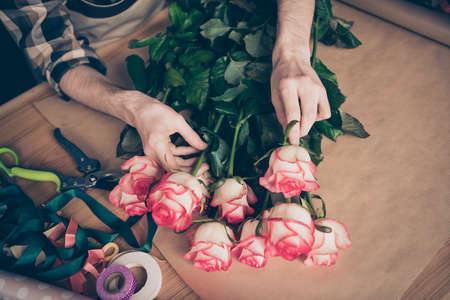 Cropped top above high angle view photo of hands hold touch botany environment assortment amke surprise small business representative rosebud wear checked clothing youth greenhouse desk desktopの写真素材