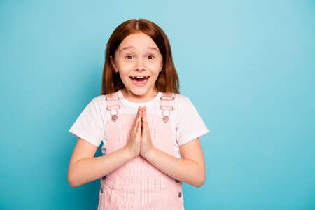 Close up photo of astonished cute kid hands palms together plead expect isolated blue background