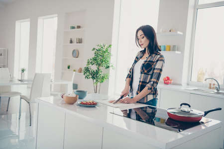 Portrait of focused beautiful stylish trendy woman checked plaid shirt outfit casual style stand have fresh products tomato eggs tasty feast rest relax apartmentの写真素材