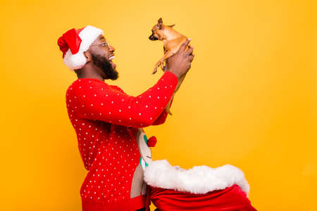 Profile side portrait of his he nice attractive cheerful cheery glad positive guy holding in hands toy terrier new best friend isolated over bright vivid shine yellow backgroundの写真素材