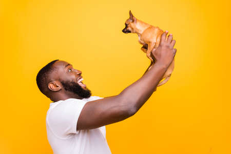 Young guy with dark skin wearing casual outfit on yellow backgroundの写真素材