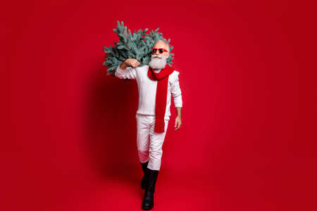 Full length body size view of his he nice attractive handsome virile masculine content gray-haired...