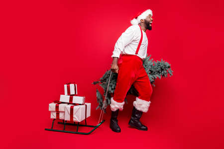 Full body profile side photo of crazy bearded santa claus scream wow omg pull sledge with prsent...