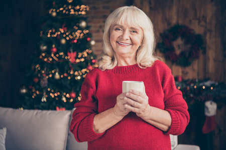 Portrait of her she nice attractive lovely sweet dreamy calm kind peaceful cheerful cheery gray-haired granny drinking cacao christmastime day at decorated industrial loft style interior houseの写真素材
