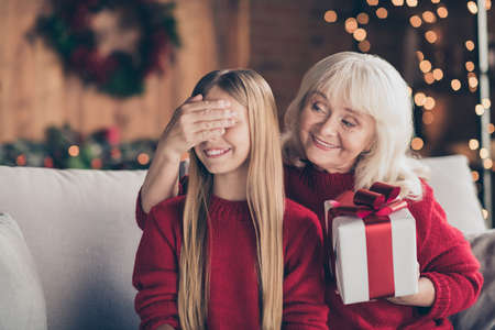 Close-up portrait of nice attractive lovely cheerful cheery granny closing pre-teen grandchilds eyes...