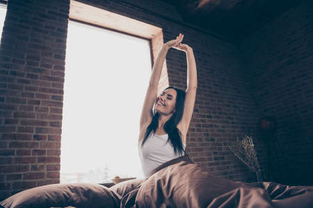 Portrait of her she nice attractive adorable charming pretty lovely winsome cheerful cheery dreamy girl sitting in bed stretching at industrial brick loft modern style roomの写真素材
