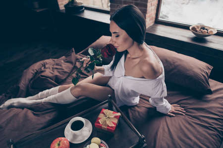 Portrait of her she nice attractive charming lovely pretty sweet sensual dreamy girl sitting on bed smelling fresh red rose enjoying snack at industrial brick wood loft modern interior style houseの写真素材