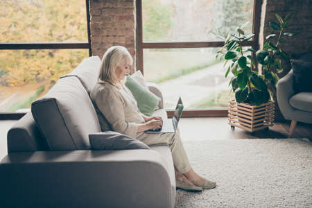 Profile side view of nice attractive peaceful focused gray-haired lady sitting on divan writing email browsing information online doctor consultation industrial brick loft modern style interior houseの写真素材