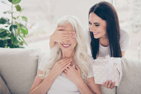 Close-up portrait of two nice attractive lovely cute careful cheerful cheery, women granddaughter giving giftbox to granny sitting on divan daydream in light white interior room house flat apartmentの写真素材