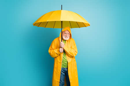 Portrait of his he dissatisfied irritated annoyed grey-haired man mushroomer, wearing yellow overcoat dislike bad weather cyclone isolated over bright vivid shine vibrant blue color backgroundの写真素材