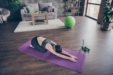 Top above high angle full body profile side photo of athlete active beautiful girl on mat stretch back arms enjoy doing effort energy physical aerobics exercise wear panties in house indoorsの写真素材
