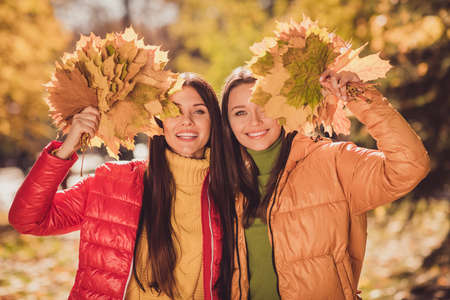 Photo of two positive cheerful girls fellows enjoy fall park forest rest relax collect maple leaves hide close cover eyes wear season outerwearの写真素材