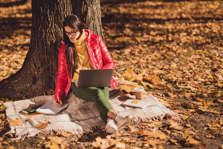 Full size photo of concentrated girl work laptop chatting boss write writer copybook tips sit under tree fall park forest lawn checkered plaid blanket wear red coatの写真素材