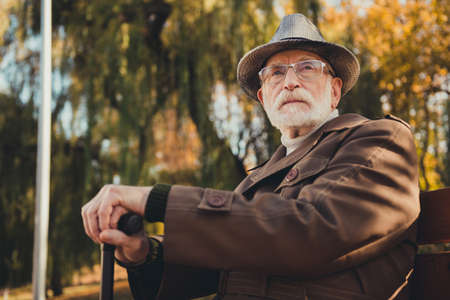 Photo of minded dreamy old man rest relax evening autumn forest park sit bench with walking stick...