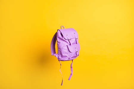 Blank purple stylish trendy backpack strap mockup flat lay view flight air over vivid shine backgroundの写真素材