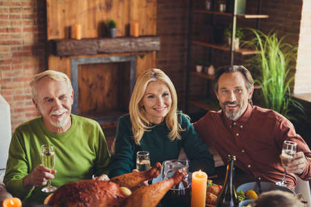 Thanks giving family meeting three cheerful members listen celebratory greeting toast drink sparkling wine living room indoorsの写真素材