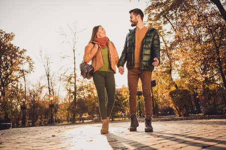 Full length photo of positive couple go in asphalt path fall forest october park hold hands wear jackets rucksackの写真素材