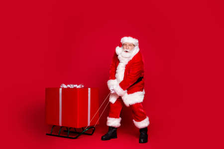 Photo portrait of white bearded santa claus not strong enough to pull present on sleigh isolated on vivid red colored backgroundの写真素材