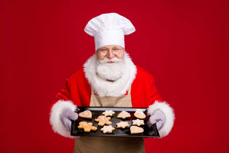 White grey hair bearded santa claus hold delicious x-mas eve noel cookies on baking sheet wear chef headwear apron costume isolated bright shine color backgroundの写真素材