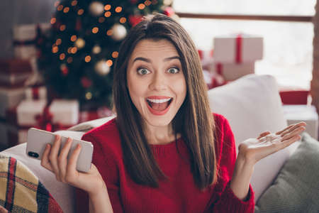 Portrait of crazy girl hold smartphone x-mas noel bargain concept sit couch in house indoors with christmas decorationの写真素材