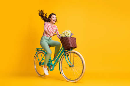 Full length body size photo of amazed girl shouting riding bicycle with basket of flowers isolated on vivid yellow color backgroundの写真素材