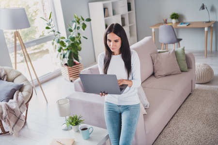Photo of serious charming attractive woman work on laptop in living room typing indoors inside house