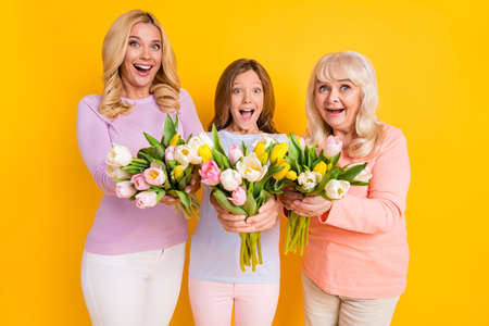 Photo of nice impressed blond red hair grand mom daughter give flowers wear pastel cloth isolated on...