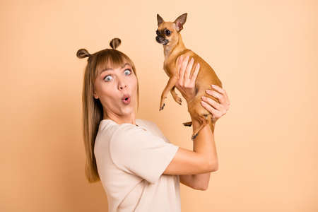 Photo of shocked crazy excited lady hold cute little dog wear t-shirt isolated beige color backgroundの写真素材