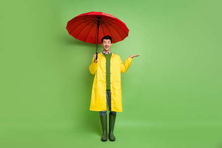 Full size photo of brunet impressed guy stand with umbrella wear cloak boots isolated on green color backgroundの写真素材