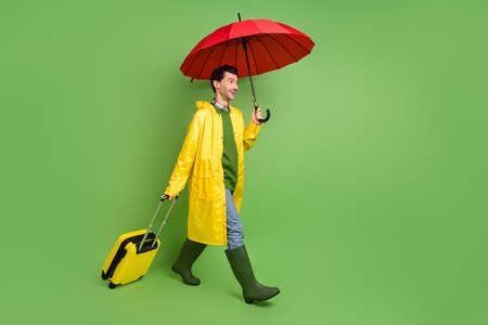 Full size profile side photo of young happy positive man go walk hold baggage and umbrella isolated on green color backgroundの写真素材