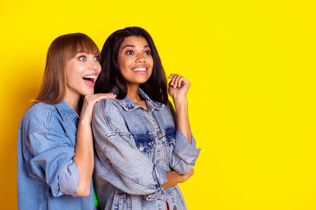 Profile portrait of two astonished ladies dark skin hand on shoulder look empty space isolated on yellow color backgroundの写真素材